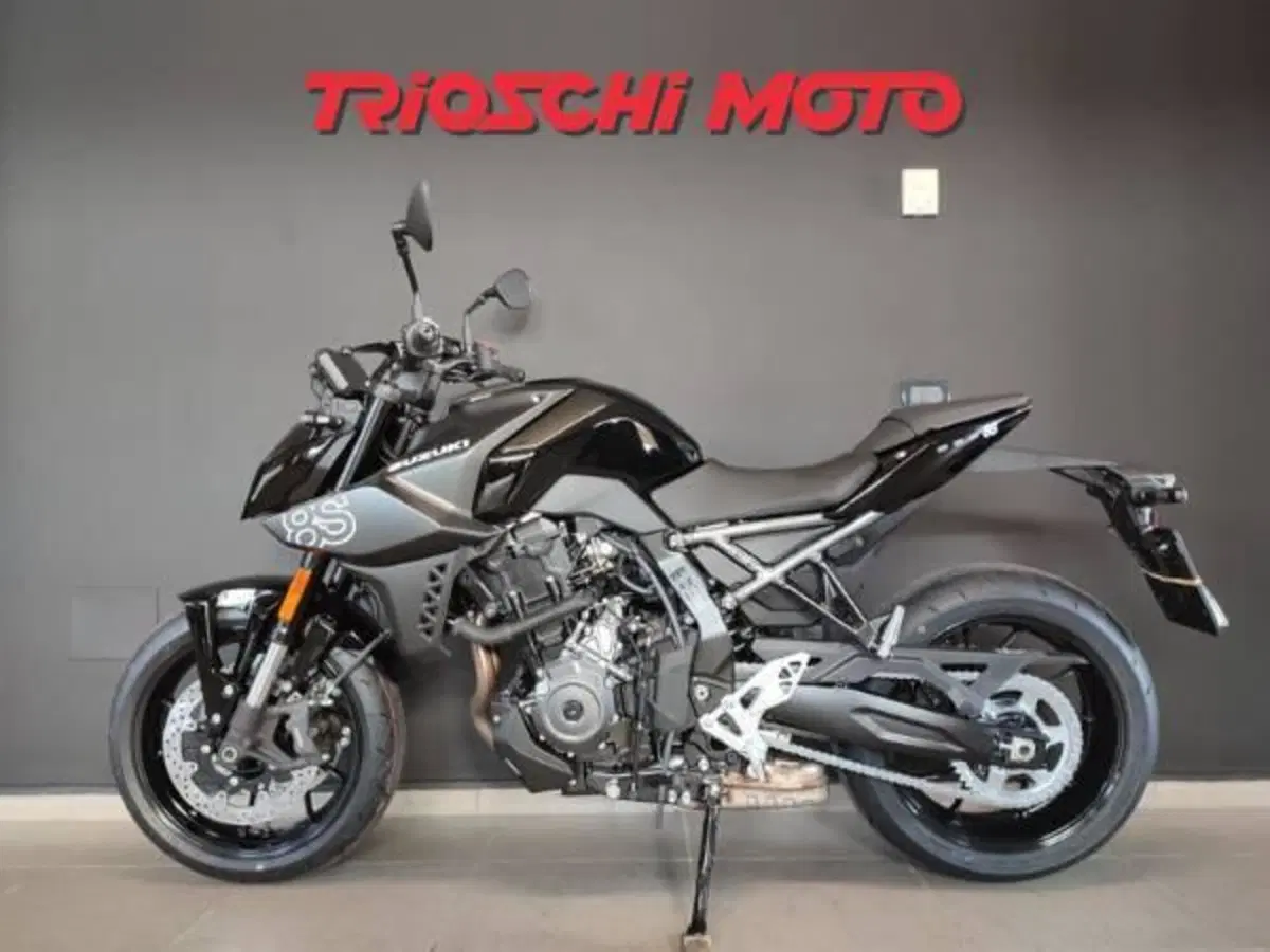 Suzuki GSX-8S (2025 - 26) (2)