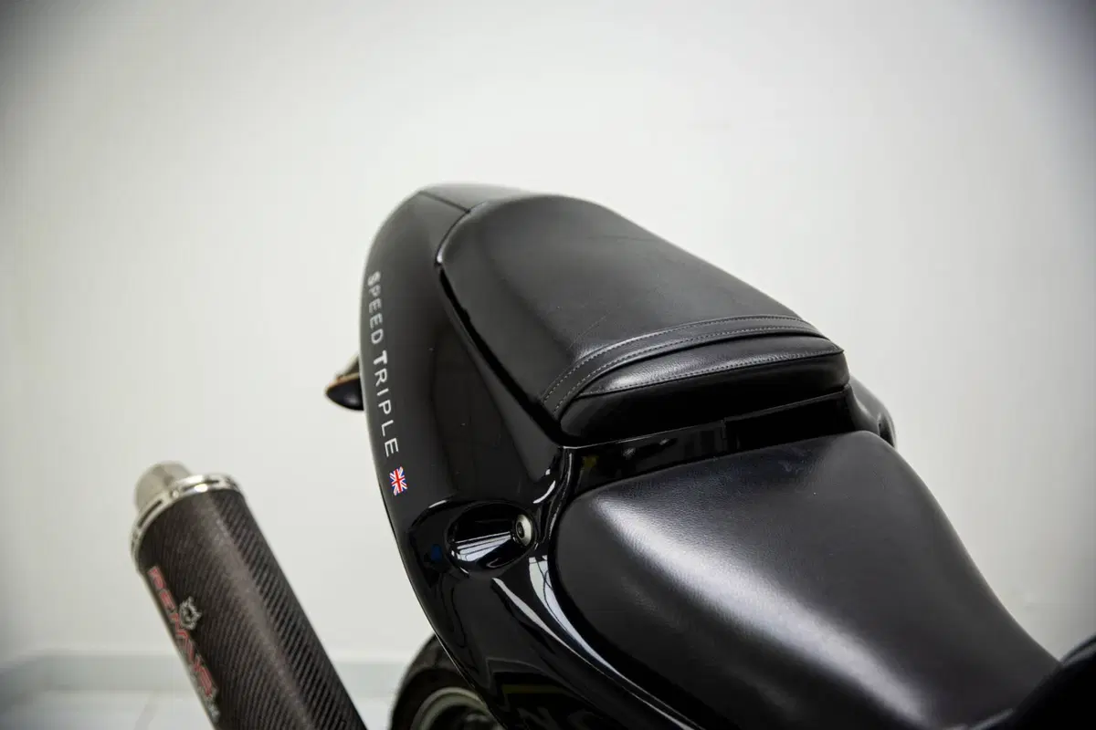 Triumph Speed Triple 955 (2002 - 04) (10)