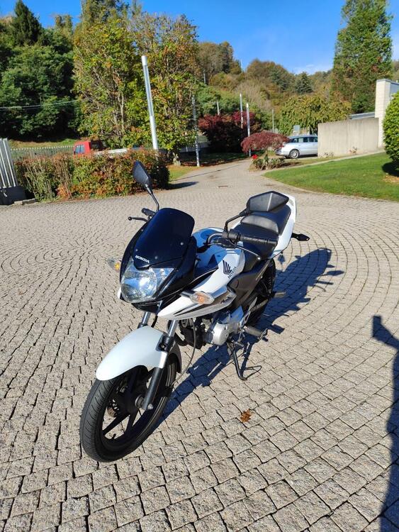 Honda CBF 125 (2008- 14) (2)