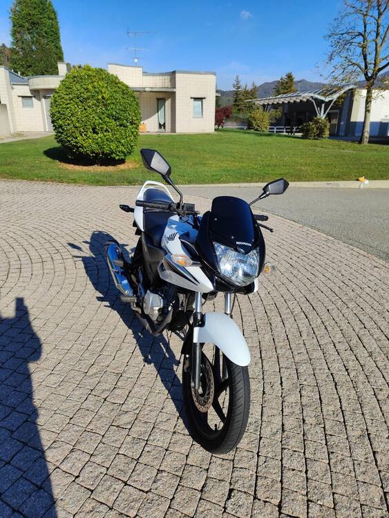 Honda CBF 125 (2008- 14) (3)