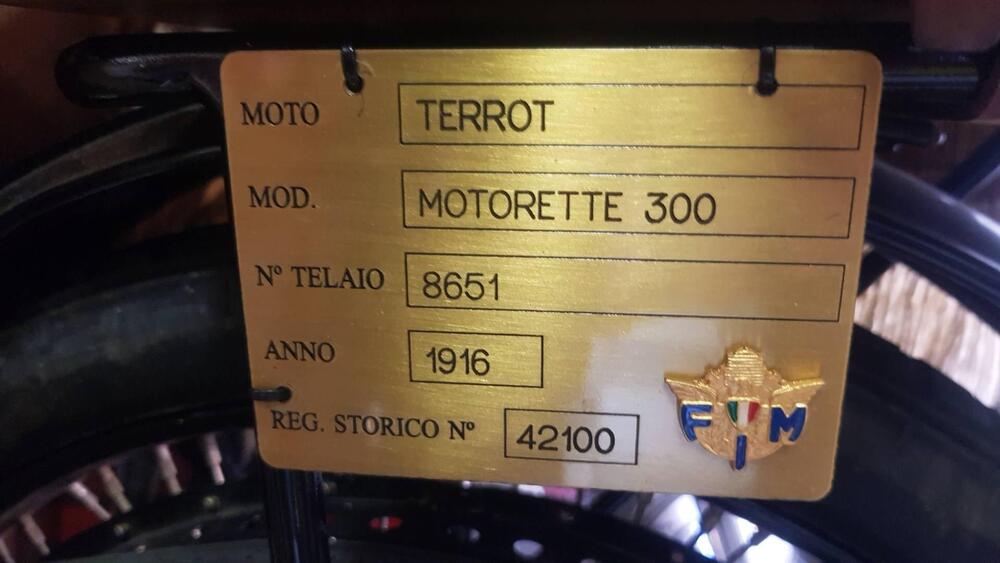 Terrot MOTORETTE 300 (5)