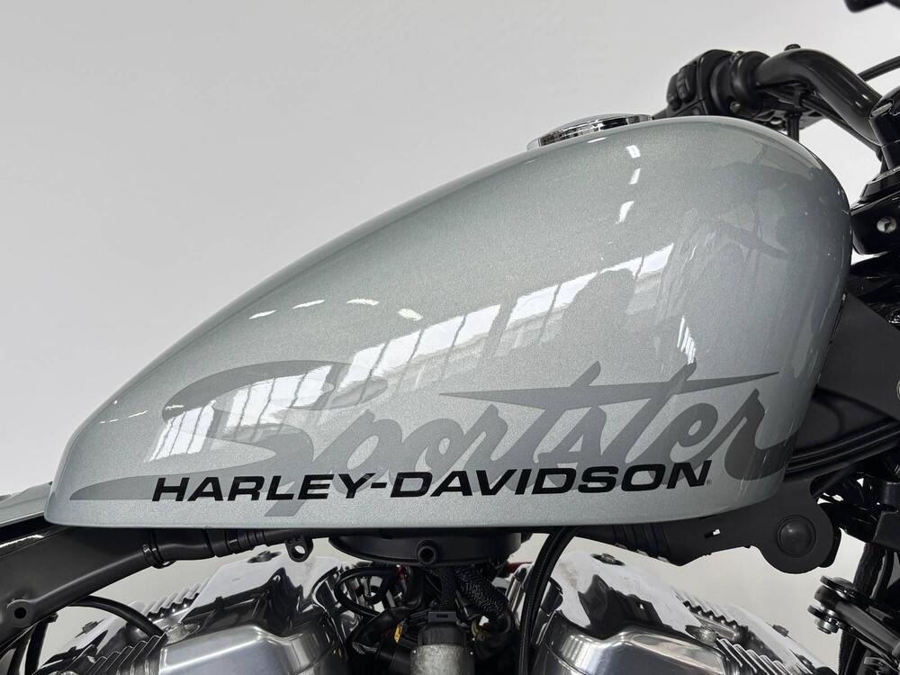 Harley-Davidson 1200 Forty-Eight (2010 - 15) (2)