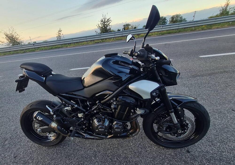 Kawasaki Z 900 (2025 - 26)