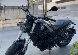 Benelli Leoncino 500 (2021 - 25) usata