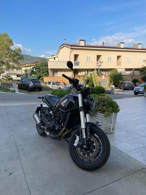 Benelli Leoncino 500 (2021 - 25) (2)