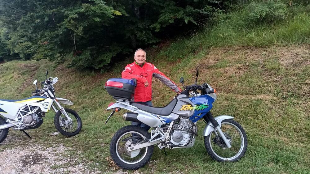 Honda NX 650 Dominator (1996 - 02)