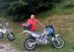 Honda NX 650 Dominator (1996 - 02) usata