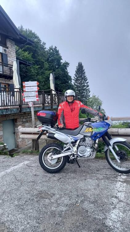 Honda NX 650 Dominator (1996 - 02) (2)