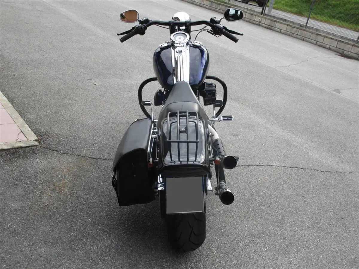 Harley-Davidson 1800 Springer (2009 - 12) - FXSTSSE (5)