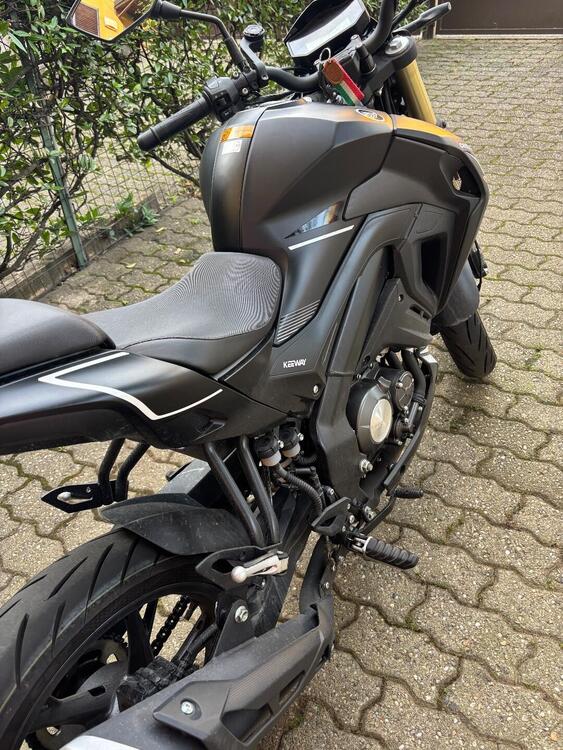 Keeway Motor RKF 125 (2021 - 24) (3)