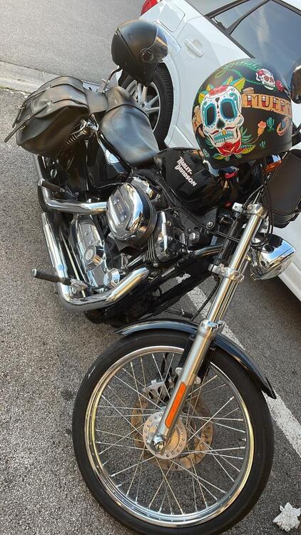 Harley-Davidson 1200 Custom (2007 - 13) - XL 1200C (2)