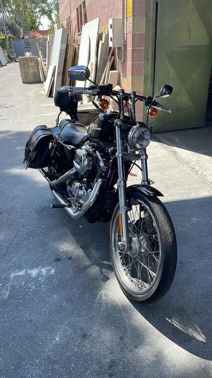 Harley-Davidson 1200 Custom (2007 - 13) - XL 1200C (3)