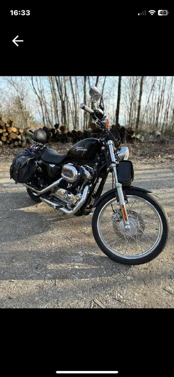 Harley-Davidson 1200 Custom (2007 - 13) - XL 1200C (5)