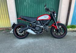Ducati Scrambler 800 Icon (2015 - 16) usata