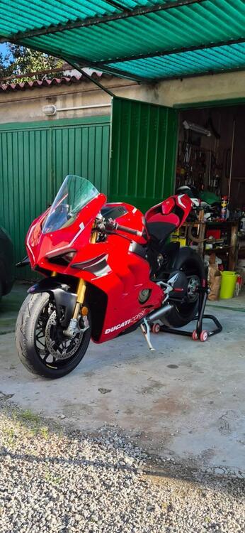 Ducati Panigale V4 S 1100 (2021) (2)