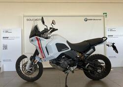 Ducati DesertX (2022 - 25) usata