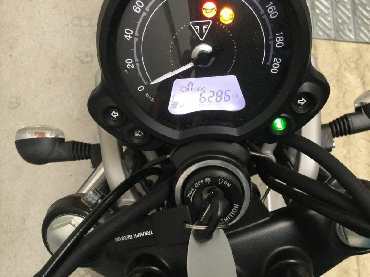 Triumph Street Scrambler 900 (2019 - 20) (2)