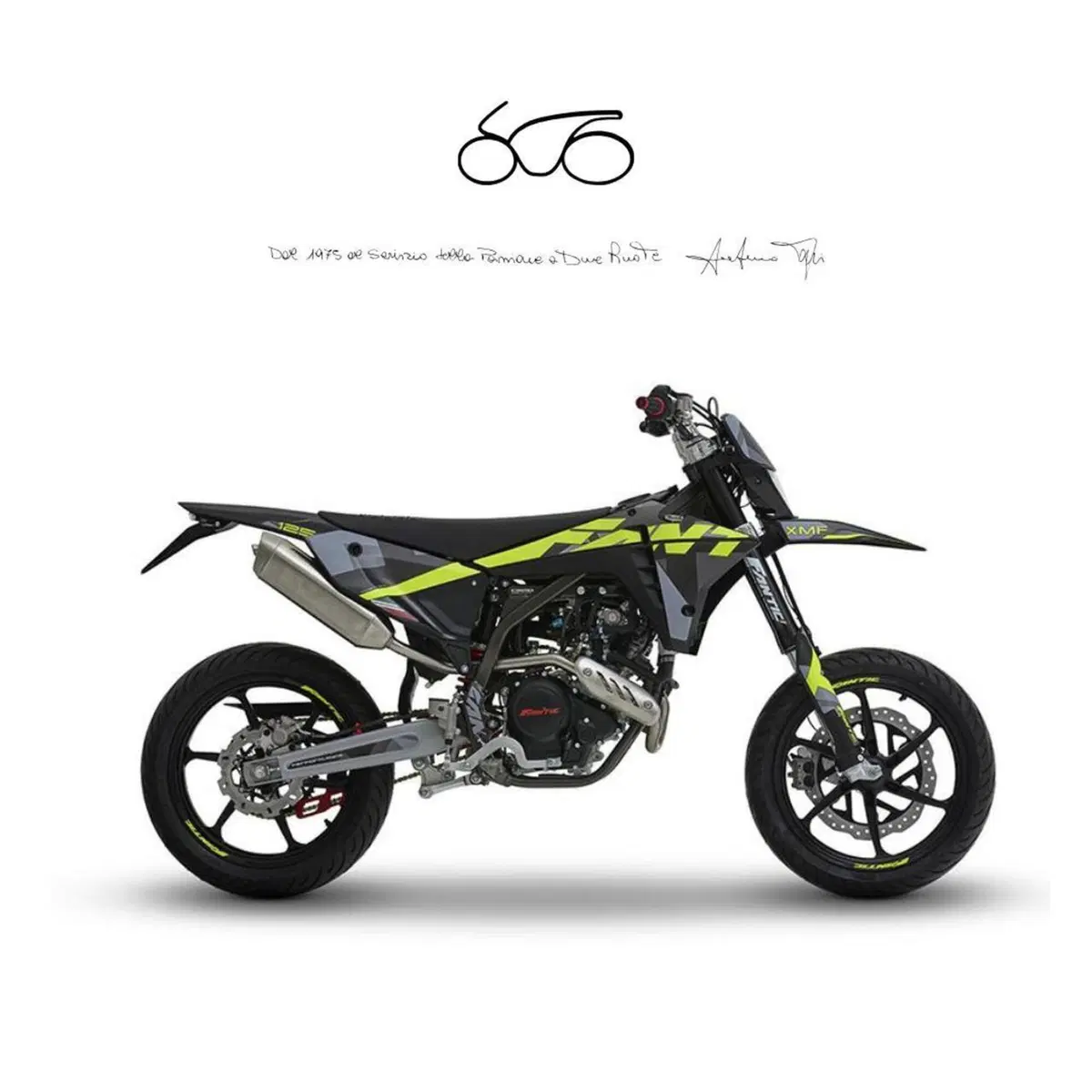 Fantic Motor XMF 125 Performance (2025 - 26)