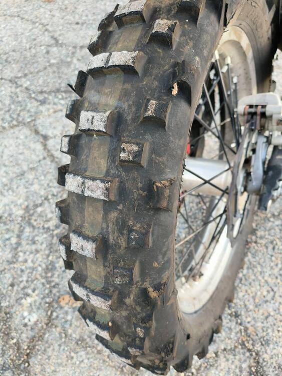 Betamotor RR 300 2T Enduro (2017) (2)