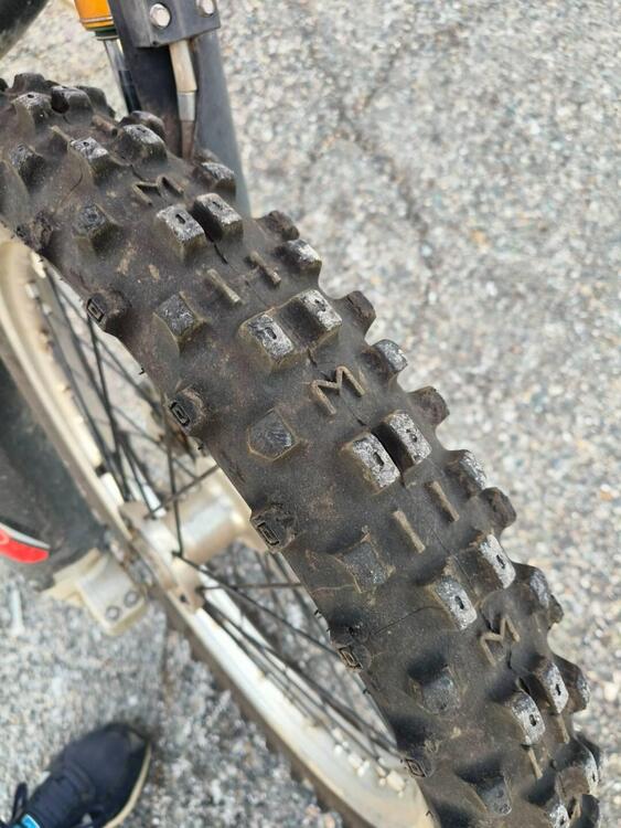 Betamotor RR 300 2T Enduro (2017) (3)