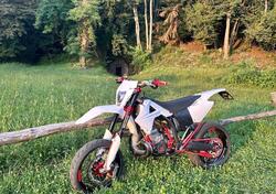 GASGAS EC 300 (2006 - 07) usata