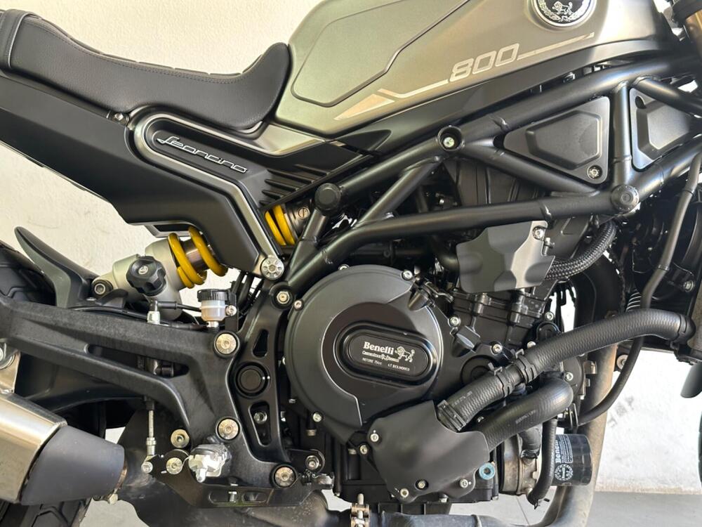 Benelli Leoncino 800 (2022 - 25) (4)