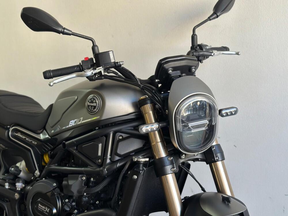 Benelli Leoncino 800 (2022 - 25) (5)