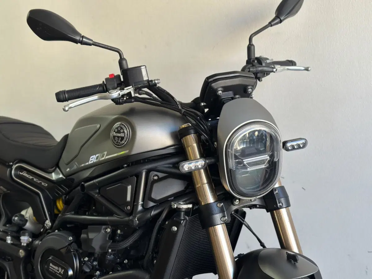 Benelli Leoncino 800 (2022 - 26) (5)