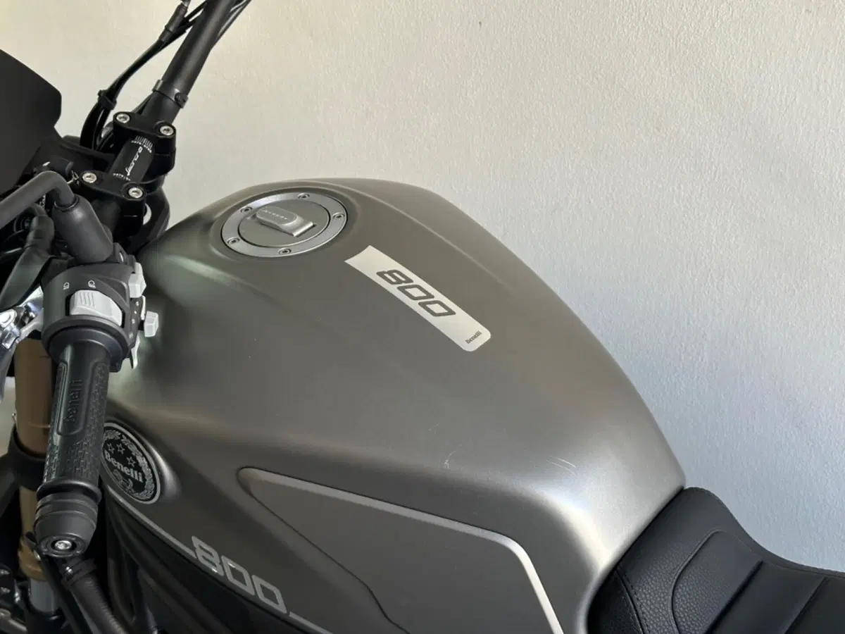 Benelli Leoncino 800 (2022 - 26) (8)