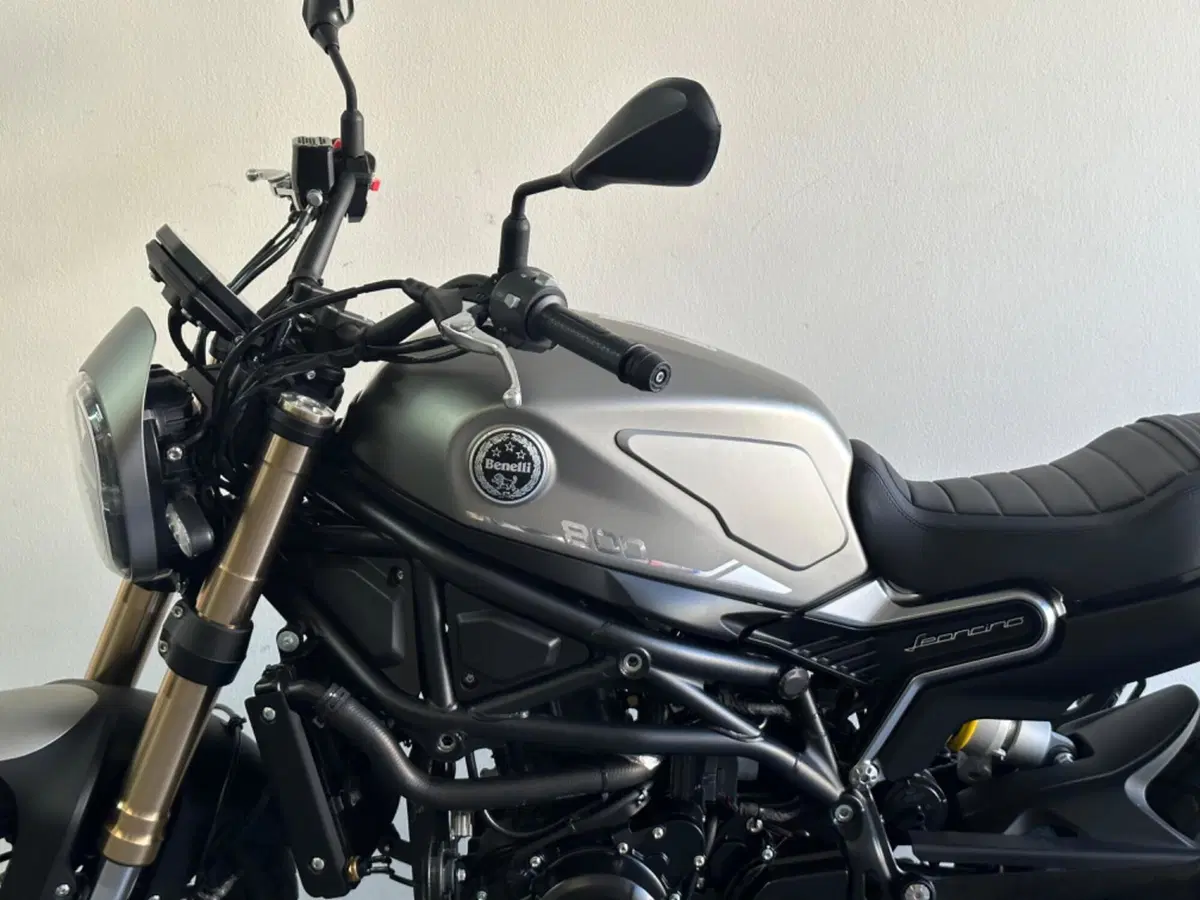 Benelli Leoncino 800 (2022 - 26) (10)