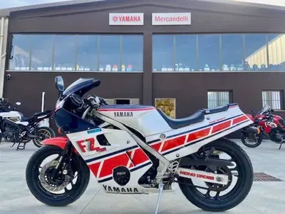 Yamaha FZ 600 usata