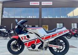 Yamaha FZ 600 usata