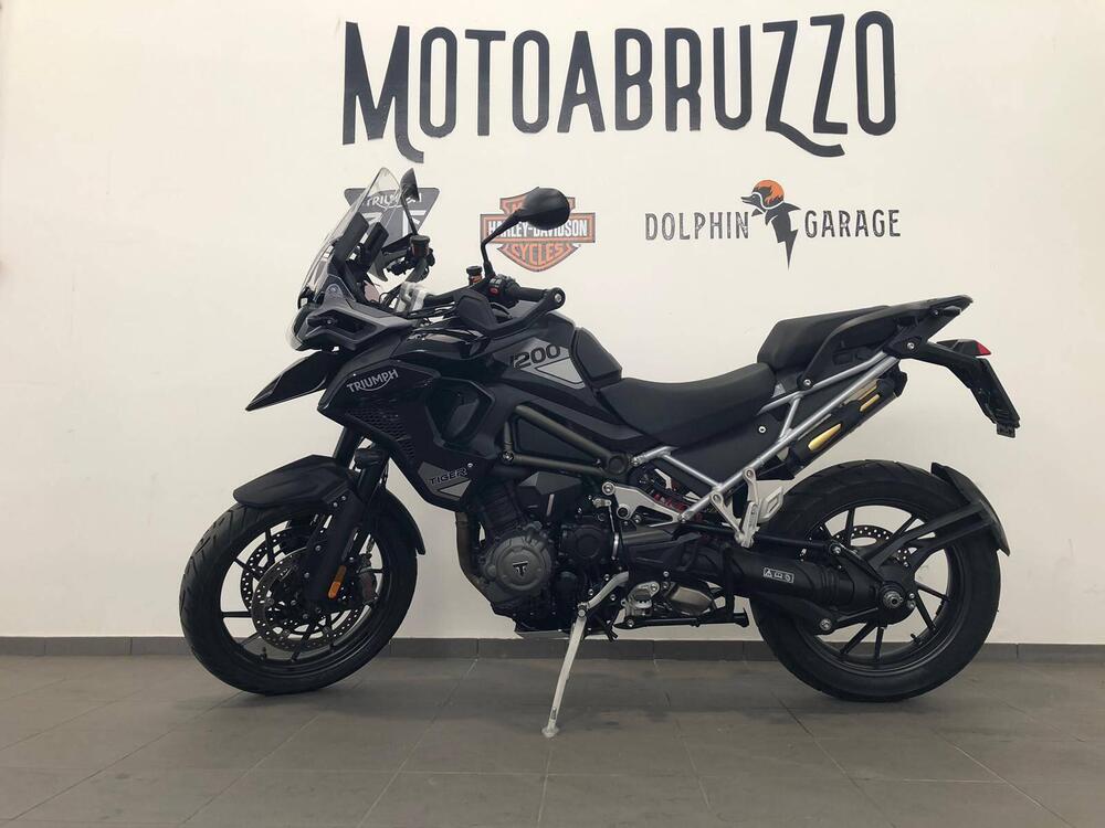 Triumph Tiger 1200 GT Pro (2024 - 25) (3)