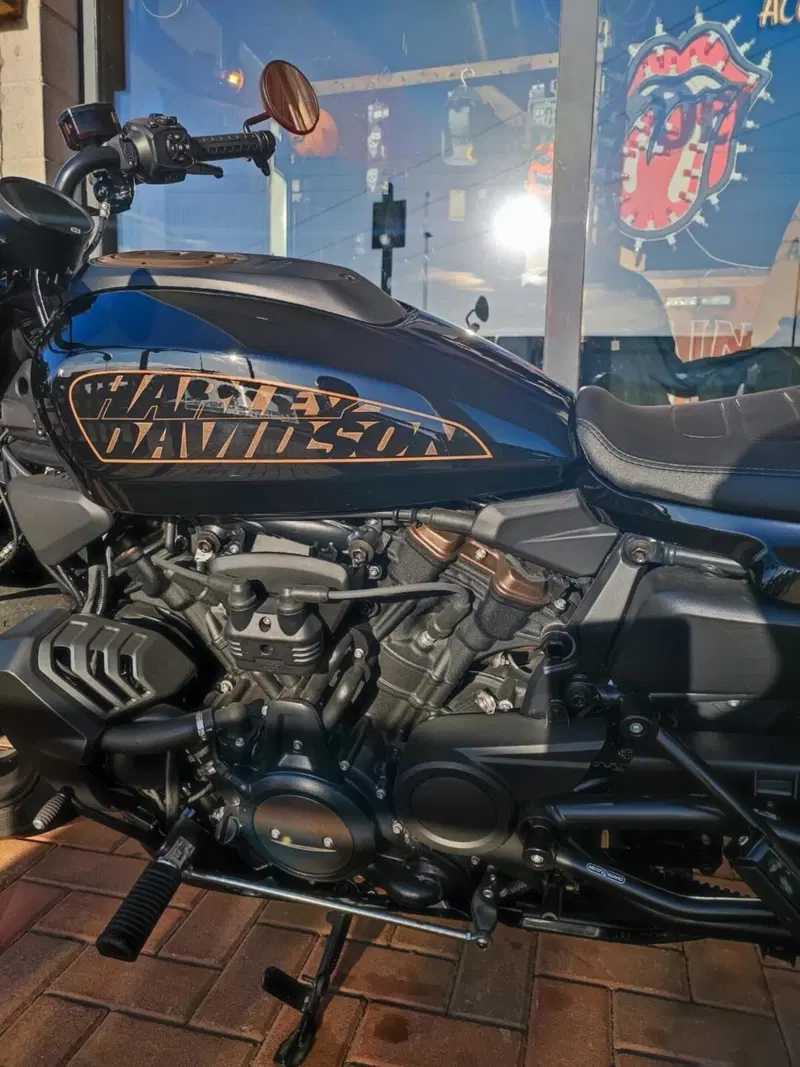 Harley-Davidson Sportster S (2022 - 24) (9)