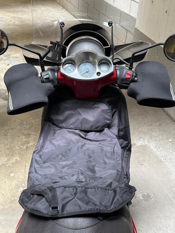 Aprilia Scarabeo 250 (2006 - 11) (4)