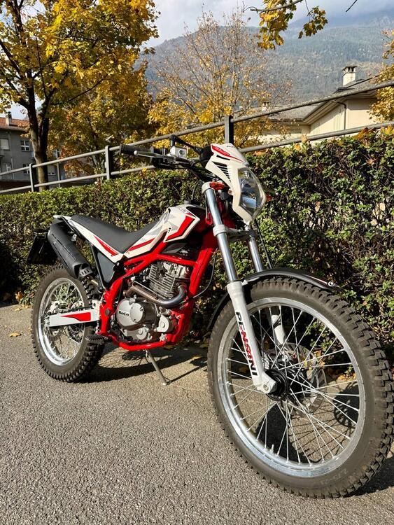 Betamotor Alp 200 (2021 - 25) (2)