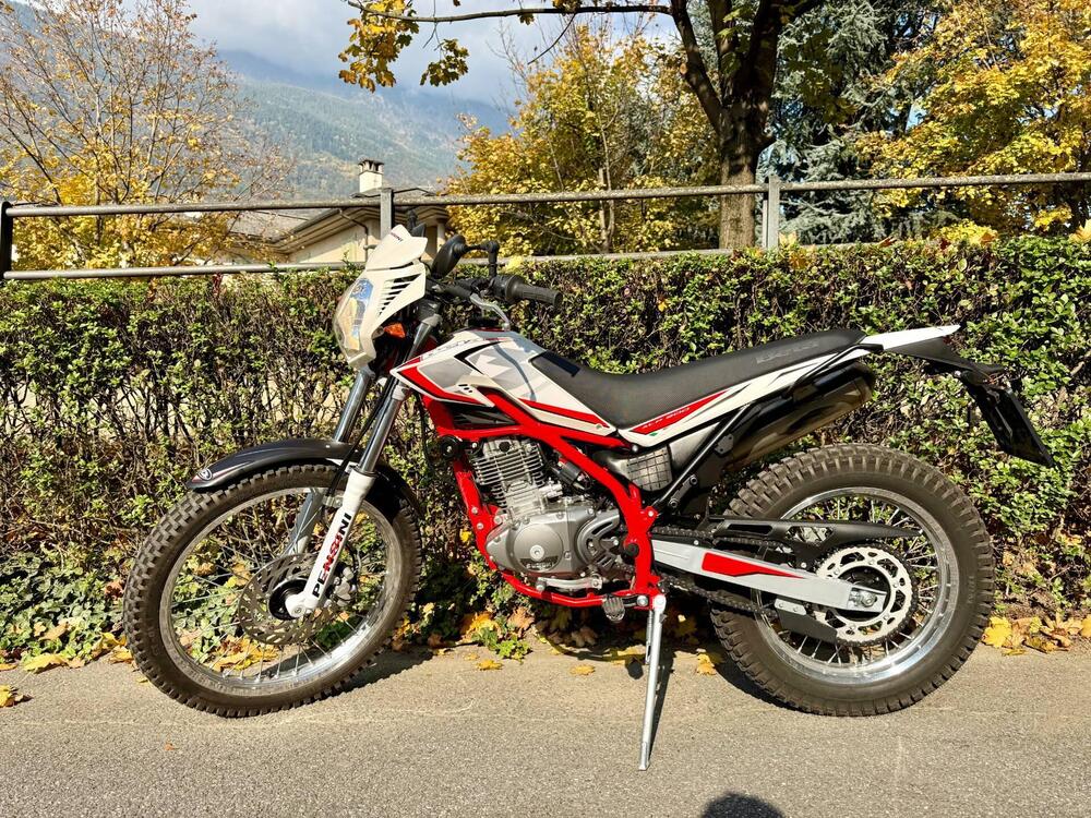 Betamotor Alp 200 (2021 - 25) (5)