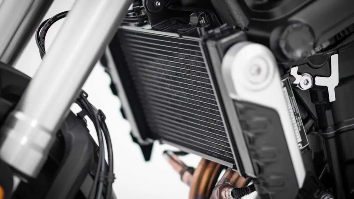 Voge Trofeo 525ACX Trofeo 525ACX Scrambler (2023 - 26) (13)