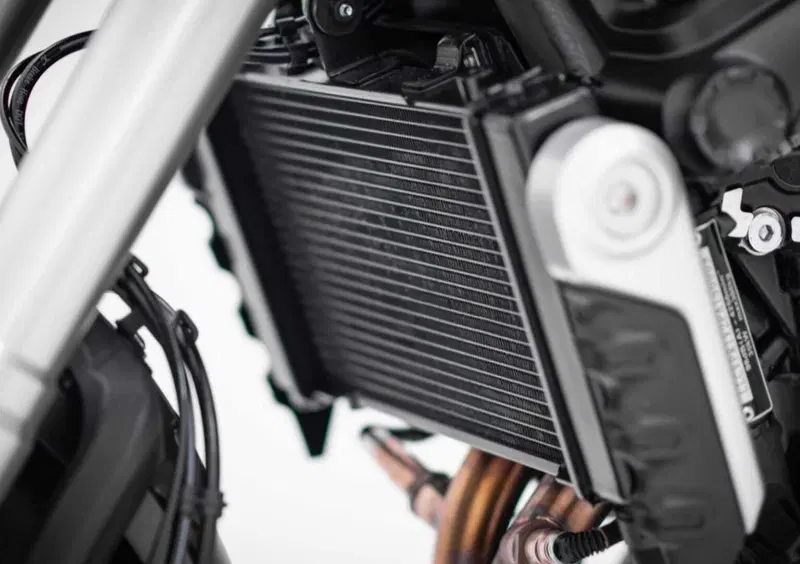Voge Trofeo 525ACX Trofeo 525ACX Scrambler (2023 - 26) (13)