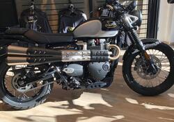 Triumph Scrambler 900 (2023 - 25) nuova