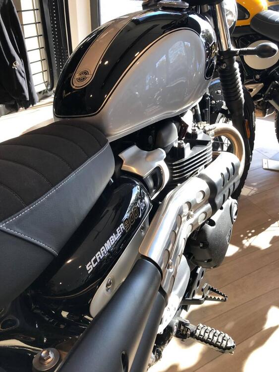 Triumph Scrambler 900 (2023 - 25) (3)