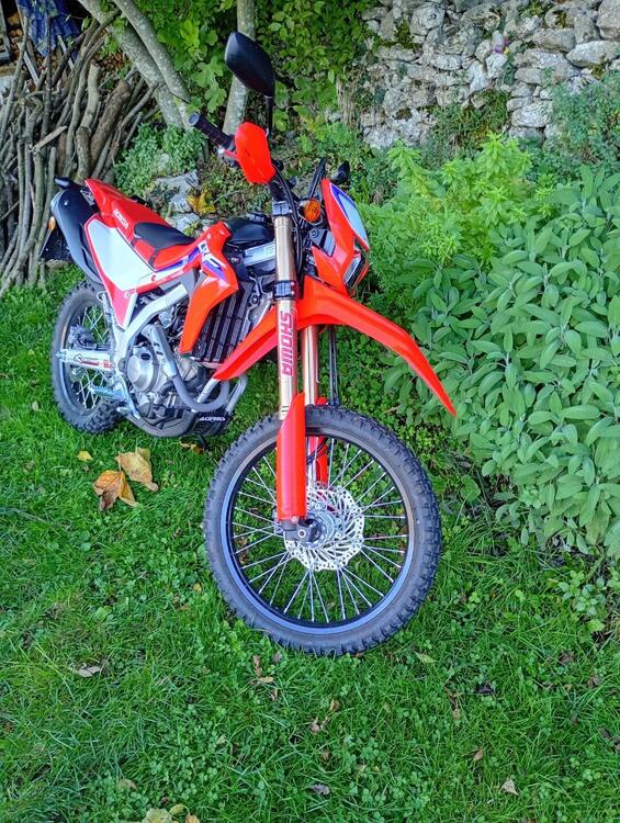 Honda CRF 300 L (2021 - 24)