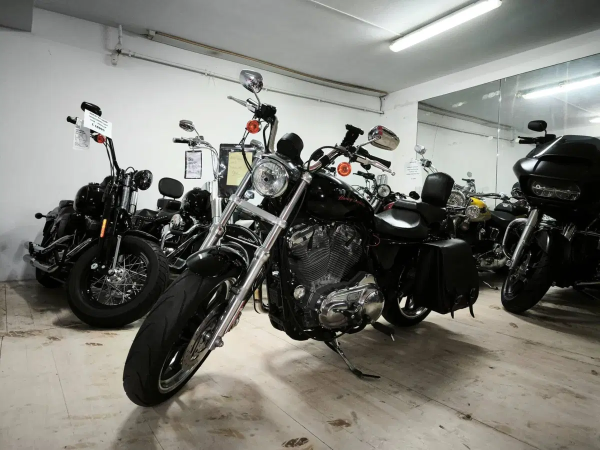 Harley-Davidson 883 Low (2008 - 12) - XL 883L (2)