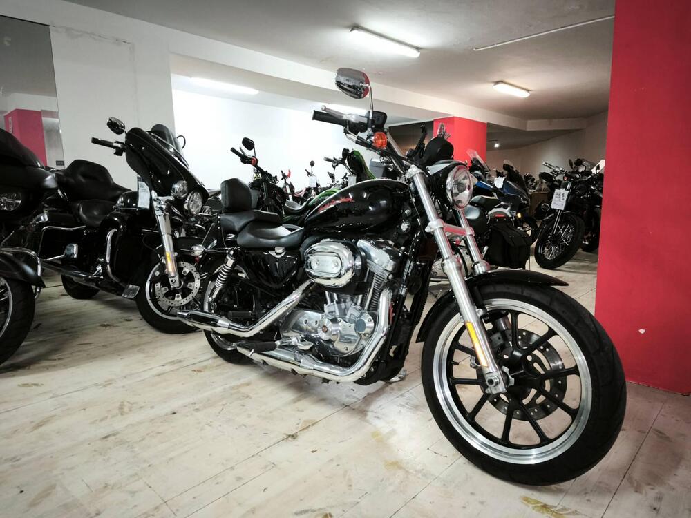 Harley-Davidson 883 Low (2008 - 12) - XL 883L (3)