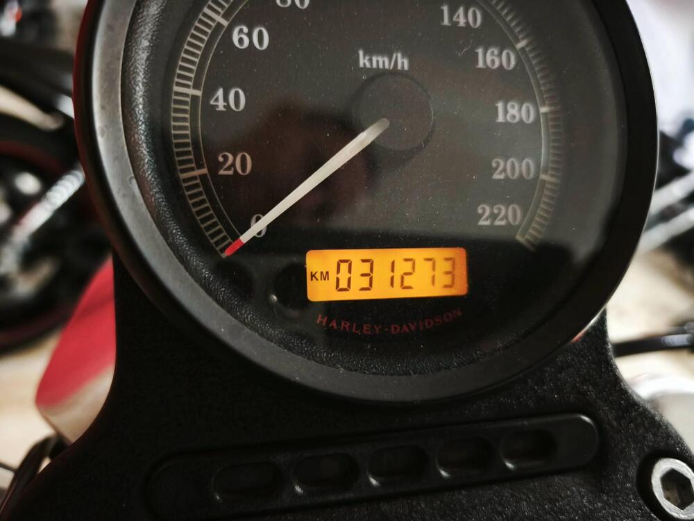 Harley-Davidson 883 Low (2008 - 12) - XL 883L (5)