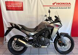 Honda Transalp XL750 (2023 - 24) usata