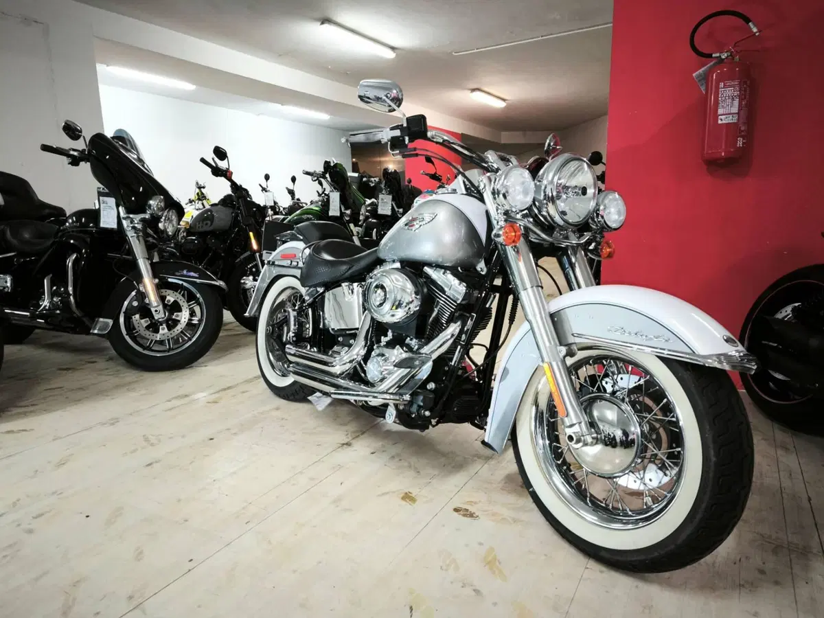 Harley-Davidson 1584 Deluxe (2007 - 08) - FLSTN (3)