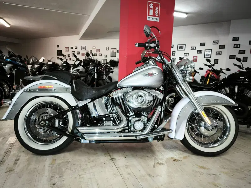 Harley-Davidson 1584 Deluxe (2007 - 08) - FLSTN (4)
