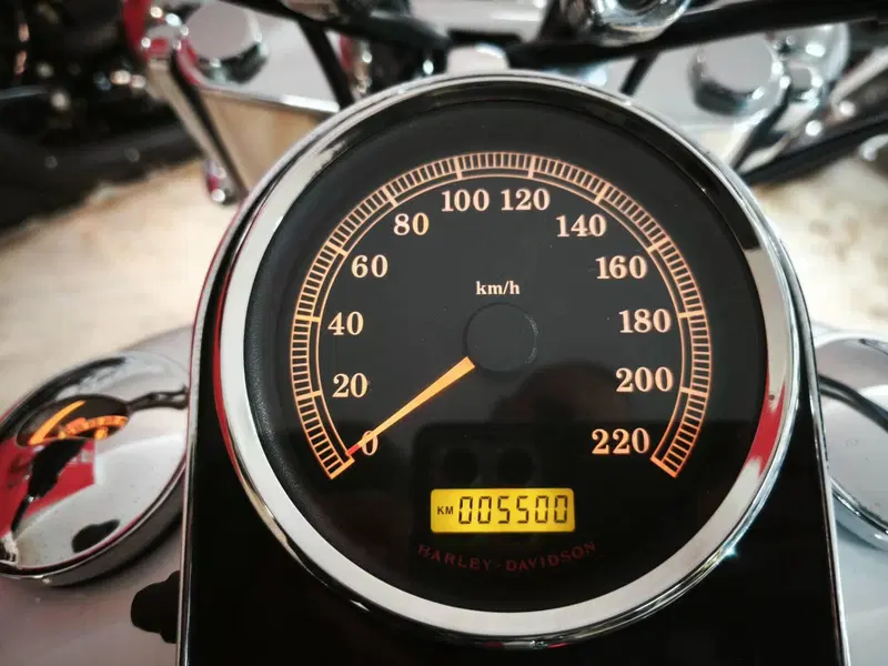 Harley-Davidson 1584 Deluxe (2007 - 08) - FLSTN (5)