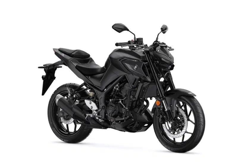 Yamaha MT-03 MT-03 (2025 - 26) (10)